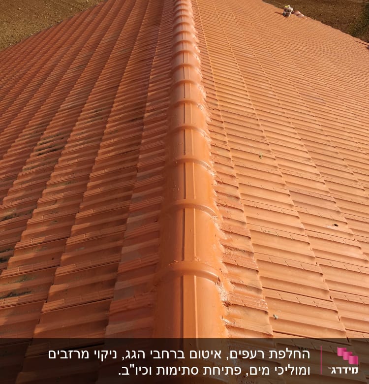 גג רעפים חום עם קו רכס מרכזי